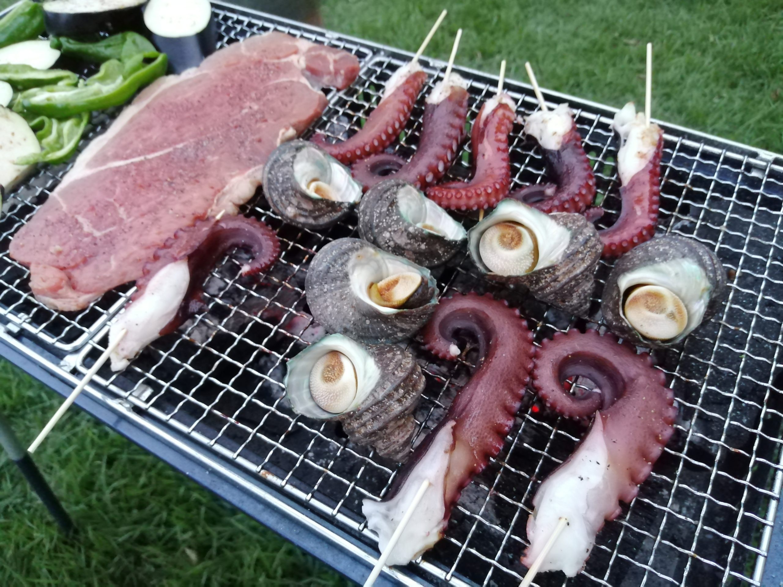 赤穂での夏キャンプは海鮮bbq 瀬戸内のサザエが激ウマだった 自由なママと息子たち