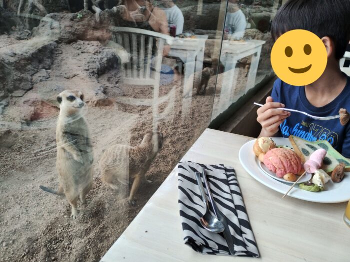 朝食会場でミーアキャットと