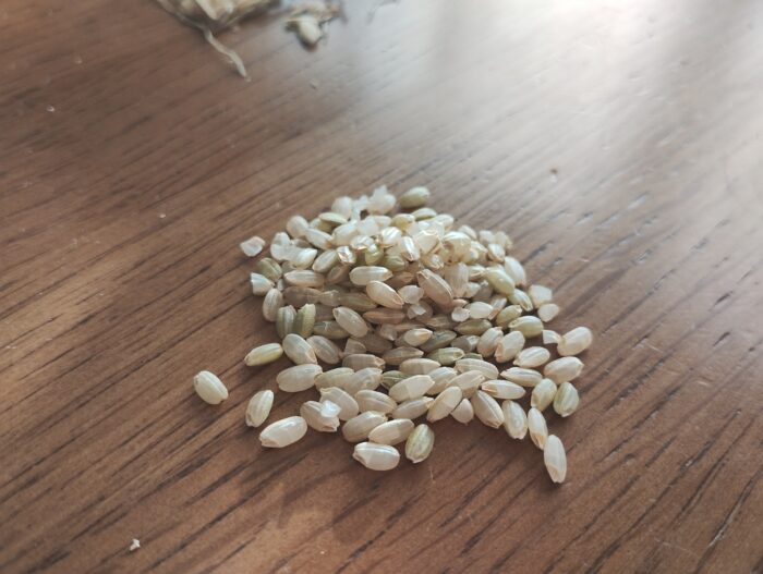 玄米をとりだす